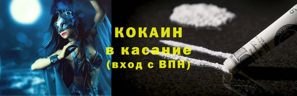 прущие грибы Богородск
