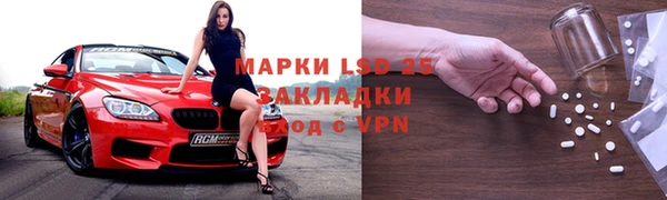 прущие грибы Богородск