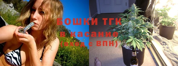 прущие грибы Богородск