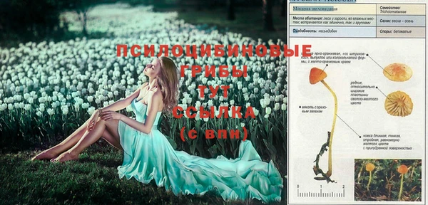 jwh Богданович