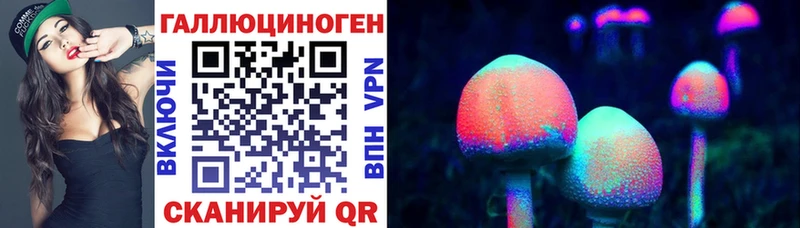 Псилоцибиновые грибы Psilocybe  ОМГ ОМГ ТОР  Котельнич 